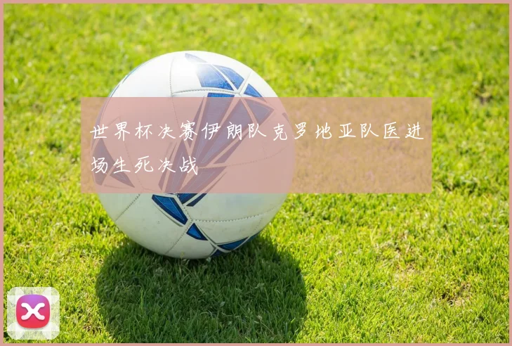 世界杯决赛伊朗队克罗地亚队医进场生死决战