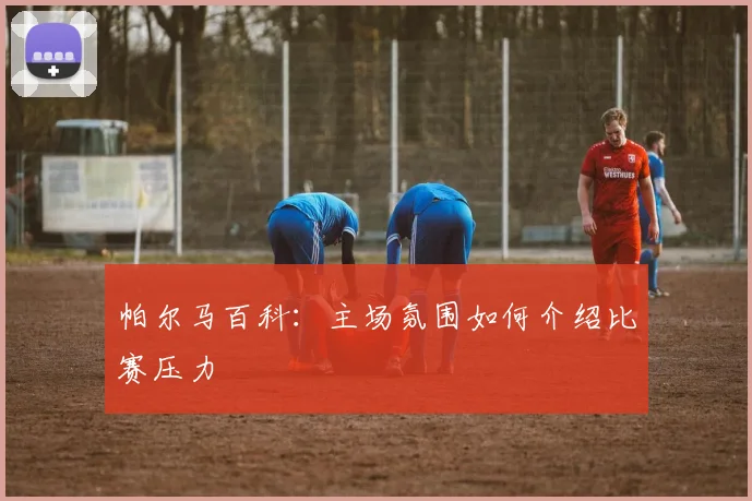 帕尔马百科:主场氛围如何介绍比赛压力